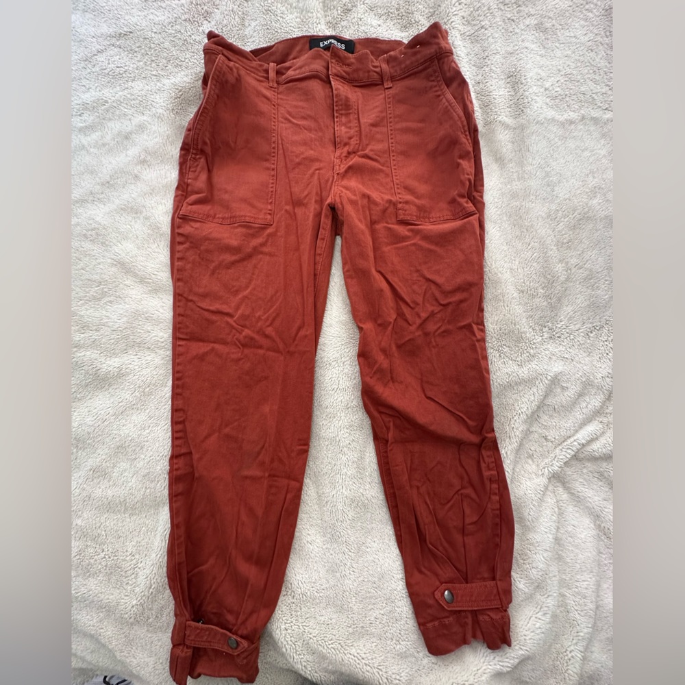 Express Cargo Pants - Picture 2 of 3